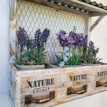 Xpce Jazmines De Nueva Andalucia