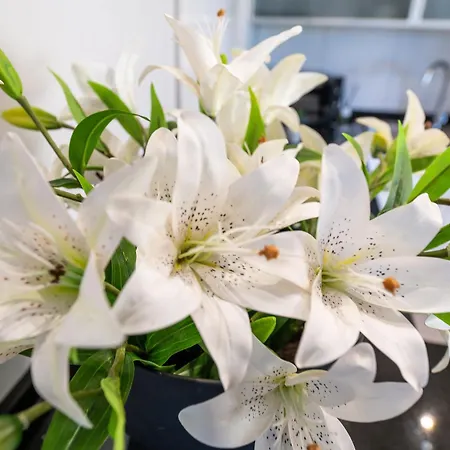 Prázdninový dům Xpce Jazmines De Nueva Andalucia Marbella